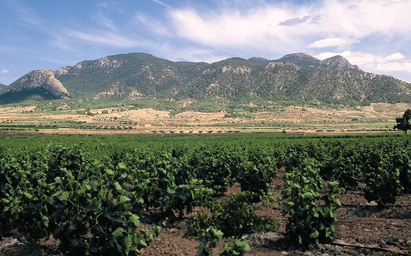 Ruta De El Carche B Turismo De Jumilla